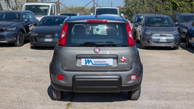 FIAT Panda FireFly Hybrid 1.0cc 69cv rif. 23515867 - Foto 5