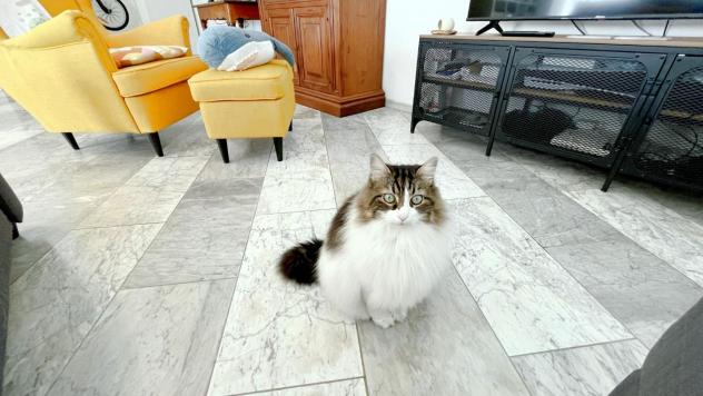 Appartamento in vendita a Borgo a Mozzano 86 mq Rif: 1444835 - Foto 8