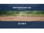 Immobile in asta di 9657 m² in vendita a Montemarciano