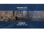Immobile in asta di 5642 m² in vendita a Pedara