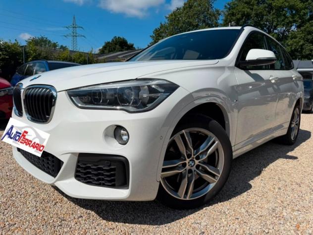 BMW X1 (F48) X1 sDrive20i Msport