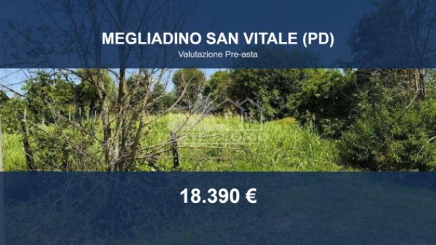 Immobile in asta di 1178 m² in vendita a Megliadino San Vitale