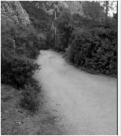 Immobile in asta di 127218 m² in vendita a Olbia - Foto 3
