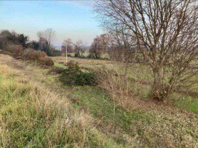 Immobile in asta di 39370 m² in vendita a Goito - Foto 6