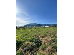 Agricolo in vendita a San Felice Circeo