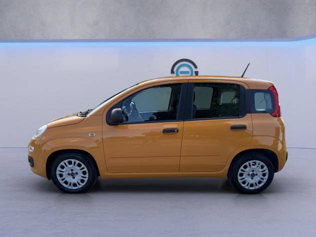 Fiat Panda 1.0 FireFly S&S Hybrid - Foto 2