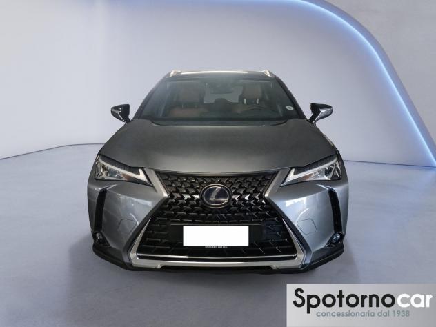 Lexus UX Hybrid Premium 2WD - Foto 7