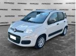 FIAT Panda Panda 1.2 Easy easypower Gpl 69cv