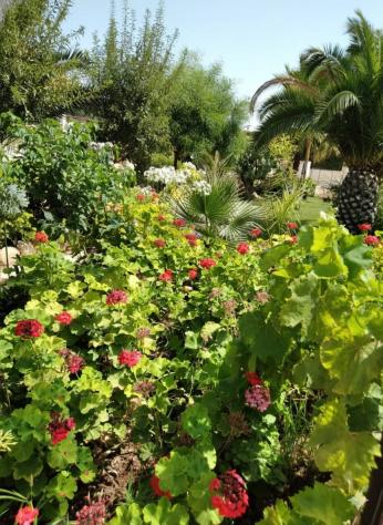 Villa singola in vendita a Scicli, Sampieri - Foto 12