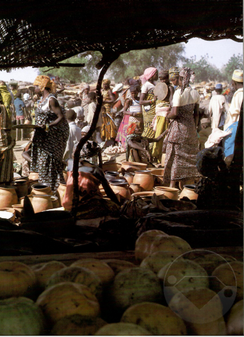 AFRICA, REALTÀ DI UN CONTINENTE - Foto 6