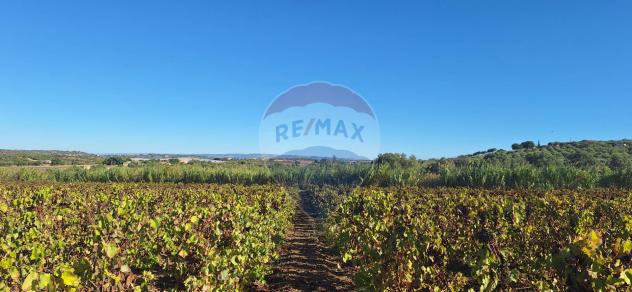 Terreno in vendita a Noto