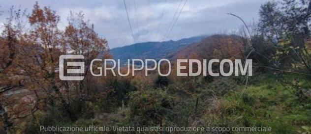 Terreno in vendita a Podenzana - Rif. 3559670 - Foto 3