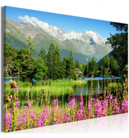 Quadro Lago Sulle Alpi 90x60 E 120x80 ARREDALACASA