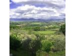 Agriturismo Etico Le Grazie