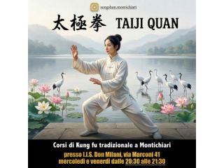 Corsi Kung fu Shaolin e TAIJI (Taichi) a Montichiari