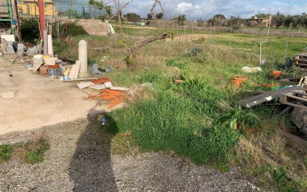 Immobile in asta di 1643 m² in vendita a Nettuno - Foto 5
