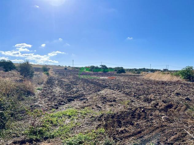 Terreno Agricolo a Santa Croce Camerina - Foto 5