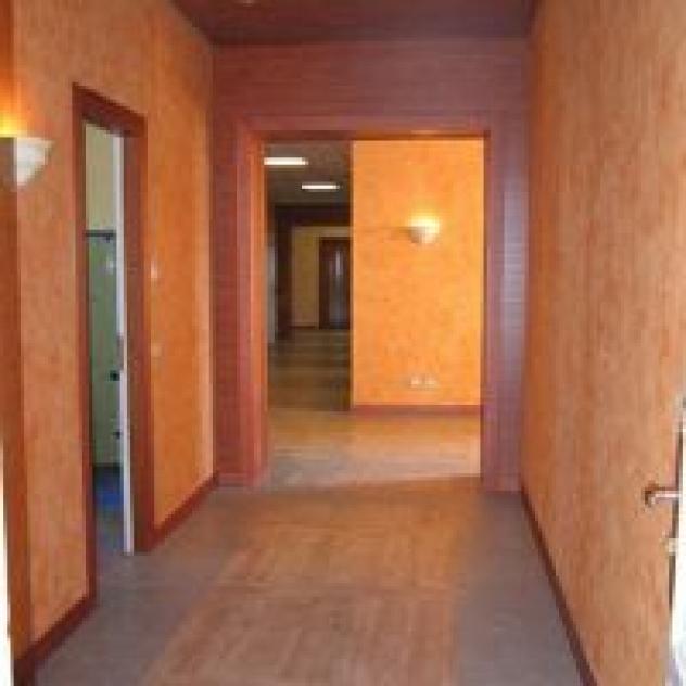 Pavi System - Foto 2