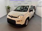 FIAT Panda 3ª serie Panda 1.0 FireFly S&S Hybrid