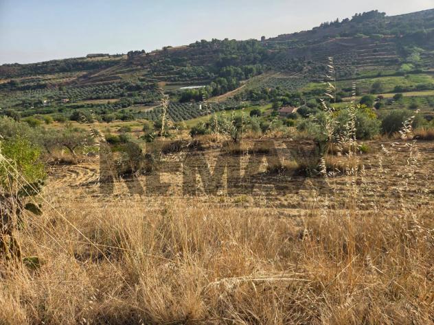 Terreno in vendita a Caltagirone - Foto 10