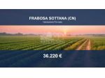 Immobile in asta di 16985 m² in vendita a Frabosa Sottana