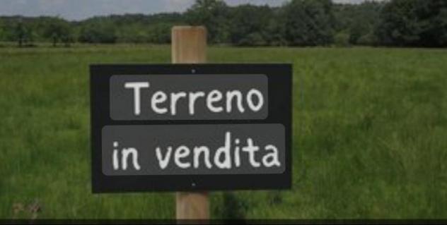 Terreno agricolo in vendita a Massa 1870 mq Rif: 1296875
