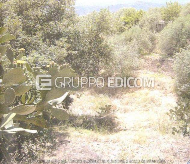 Terreno in vendita a Castelmola - Rif. 4551294 - Foto 4