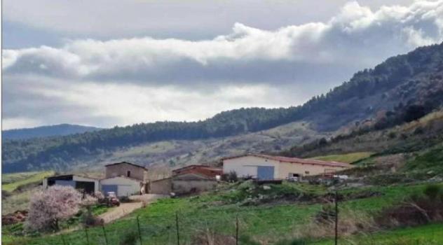 Immobile in asta di 7262 m² in vendita a Castronovo di Sicilia - Foto 8