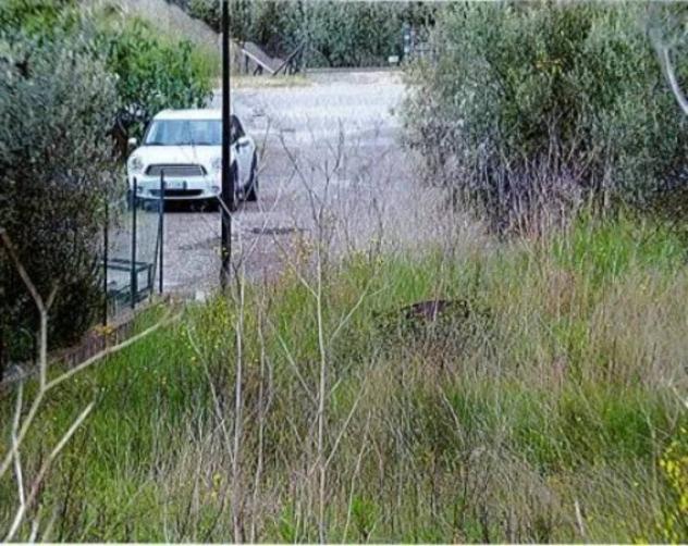 Immobile in asta di 1005 m² in vendita a Montegabbione - Foto 4