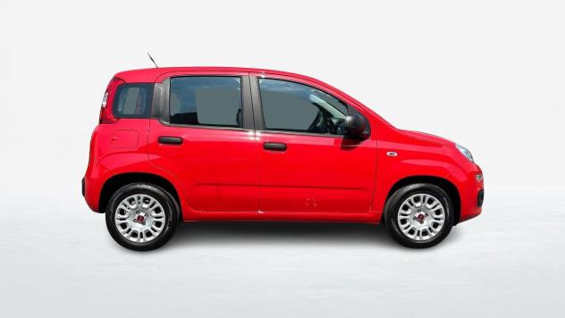 FIAT Panda 1.2 Easy s&s 69cv my19 - Foto 4