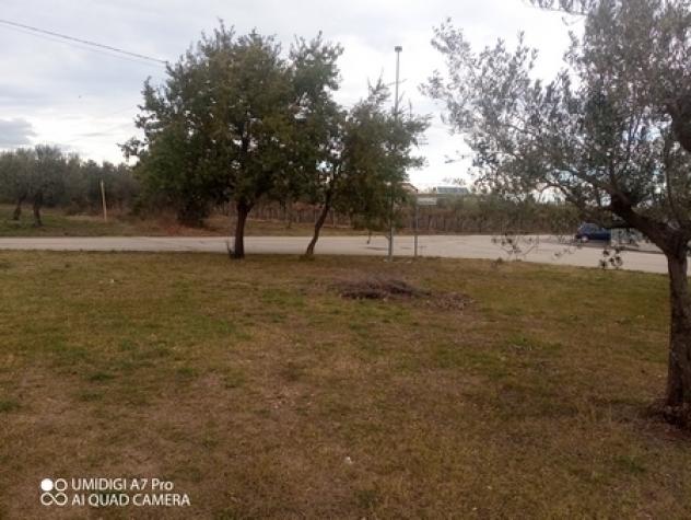 Rustico in vendita a Fossacesia - Foto 2