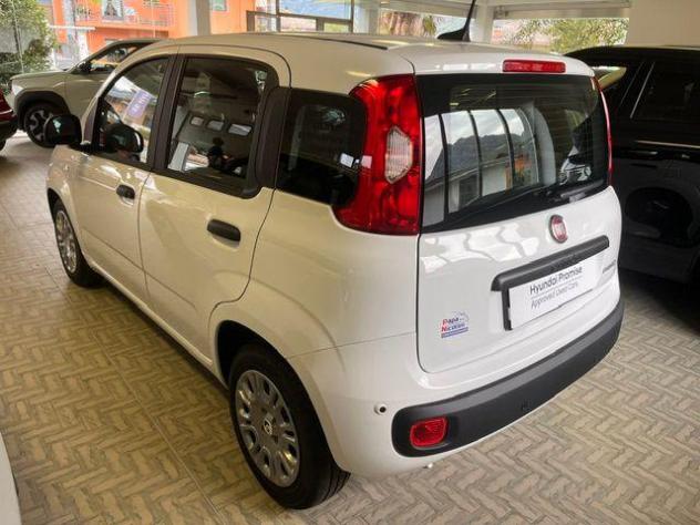 FIAT Pandina 1.0 FireFly 65 CV Hybrid Icon rif. 24205425 - Foto 6