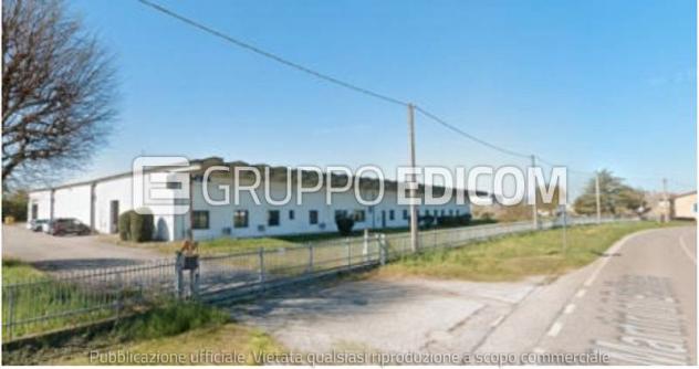 Fabbricati costruiti per esigenze commerciali in vendita a Rovigo - Rif. 3561792