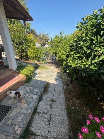ALBENGA regione Miranda Affittasi casetta indipendente con giardino e parcheggio