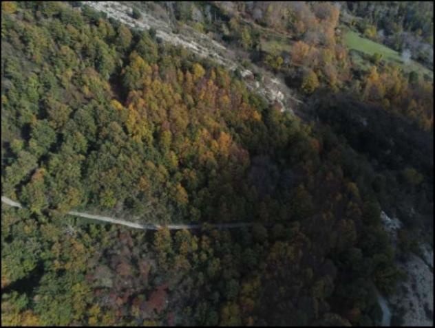Immobile in asta di 997304 m² in vendita a Lagonegro - Foto 4