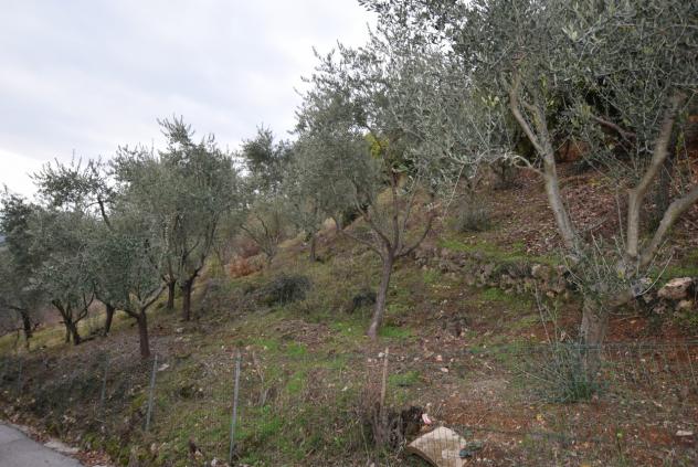 TERRENO AGRICOLO di 4807 mq (MONTEBELLUNA) rif. ZT38G_49 - Foto 8