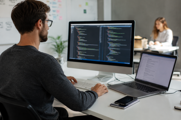 Programmatore - Webmaster