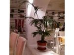 Hotel Mariet S.r.l.