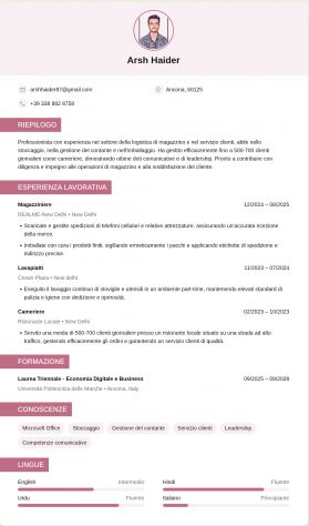 CERCO LAVORO