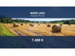 Immobile in asta di 8470 m² in vendita a Naro