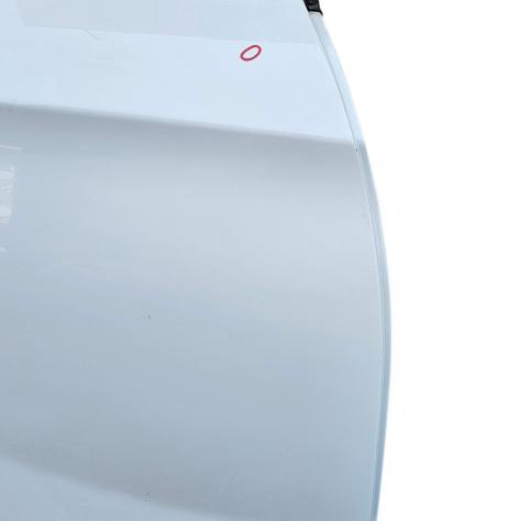 PORTIERA POSTERIORE DESTRA BMW X1 Serie (E84) 41002993820 (0915) - Foto 10