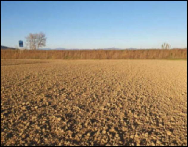 Immobile in asta di 141120 m² in vendita a Grosseto - Foto 4