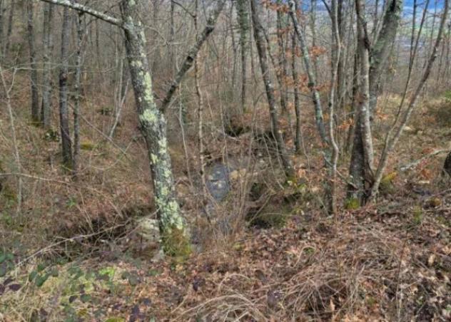 Immobile in asta di 1048270 m² in vendita a Piancastagnaio - Foto 6