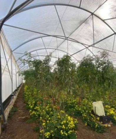 Immobile in asta di 36611 m² in vendita a Portopalo di Capo Passero - Foto 2