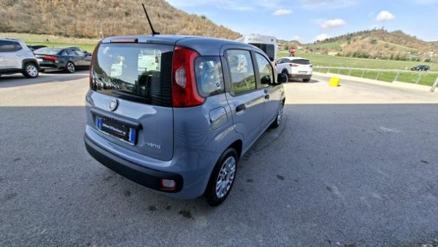 FIAT Panda 1.0 FireFly Hybrid City Life LEGGE 104 IVA ESPOSTA rif. 23401849 - Foto 5