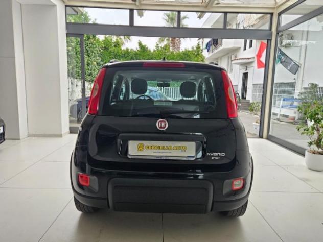 FIAT Panda 1.0 FireFly S&S Hybrid City Life da €129,00 mensil rif. 23637578 - Foto 2