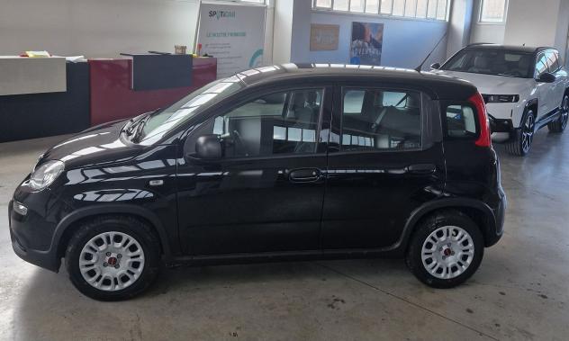 FIAT Panda Panda 1.0 firefly hybrid s&s 70cv - Foto 6
