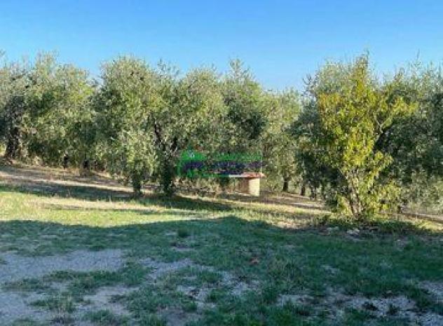 TERRENO AGRICOLO C/DA BARCO