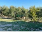 TERRENO AGRICOLO C/DA BARCO