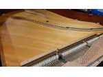 Accordatore di pianoforti a Brescia e provincia e in tutto il Nord Italia